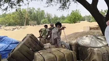 ਧਲੇਵਾਂ ਅਨਾਜ ਮੰਡੀ ‘ਚ ਪੀਣ ਵਾਲੇ ਪਾਣੀ ਦੀ ਕਮੀ, ਲੋਕ ਤਰਸੇ — ਮਾਰਕੀਟ ਕਮੇਟੀ ਭੀਖੀ ਦੇ ਪ੍ਰਬੰਧਾਂ ‘ਤੇ ਸਵਾਲ ?
#DhalewanMandi #WaterCris...