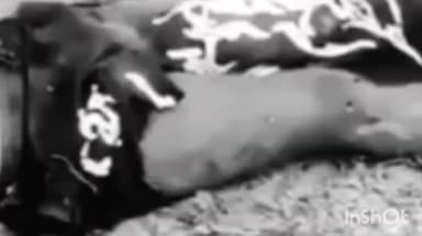 ধেমাজি: ৰঙালী বিহুৰ উছাহৰ মাজতে ধেমাজিত ভয়ংকৰ পথ দুৰ্ঘটনা, থিতাতেই নিহত এজন যুৱক