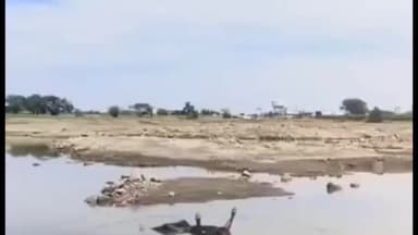 रतलाम नगर: मथुरी तालाब में मिले दो शव, पुलिस और गोताखोर टीम घटनास्थल पर पहुंची