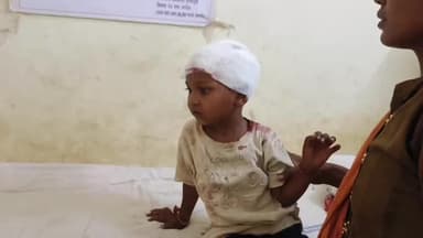 नवापूर: मोगराणी परिसरात पिसाळलेल्या कुत्र्यांचा अनेकांना चावा