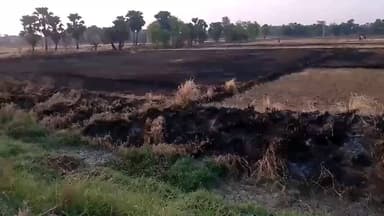 एकंगरसराय: @#पराली जलानै को लेकर लोगों में जागरूकता की कमी देखी जा रही है