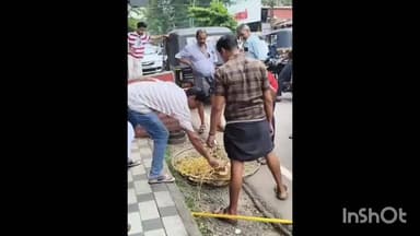 മീനച്ചിൽ: ഈരാറ്റുപേട്ട ടൗണിൽ കഴുത്തിൽ ബെൽറ്റ് കുടുങ്ങിയ നായയെ രക്ഷപെടുത്തി