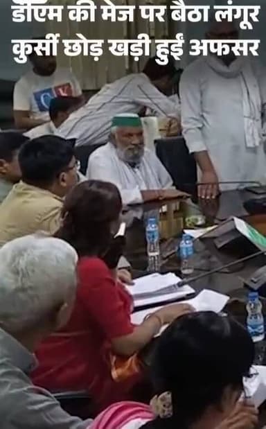 बागपत मे गुरुवार को भरी मीटिंग मे डीएम अस्मिता लाल की मेज पर लंगूर आकर बैठ गया। यह देख डीएम डर गईं और अपनी कुर्सी छोड़क