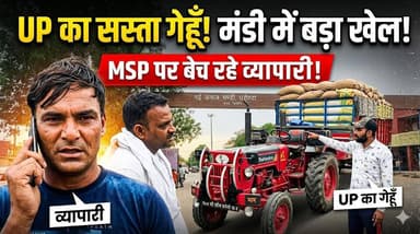 अनाज मंडी में बड़े स्तर पर उत्तर प्रदेश से लाई गई गेहूं की ट्रेडिंग, सस्ती गेहूं को MSP पर बेच रहे है व्यापारी
#GrainMar...