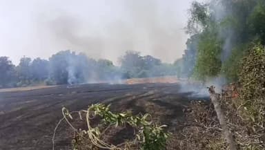 बीघापुर: बीघापुर के भगवन्तखेड़ा में आग से किसानों को हुआ लाखों का नुकसान