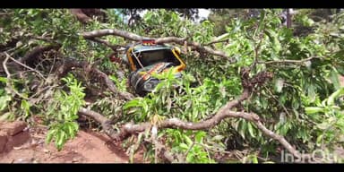 दापोली: झाडाची भली मोठी फांदी कोसळून सुदैवाने रिक्षा चालक बचावला