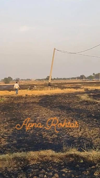 टीपा बधार में आग से कई किसानों की फसल जली
नौहट्टा थाना क्षेत्र के टीपा गांव के पश्चिम बधार में शनिवार शाम अचानक आग लगने...