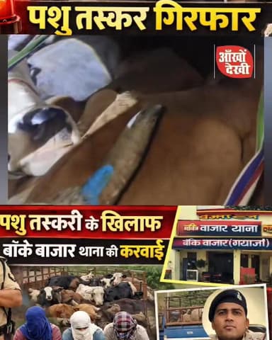 शेरघाटी बांके बाजार में तीन पशु तस्कर गिरफ्तार, एक कंटेनर में ले जा रहे थे 26 गाय और बैल #शेरघाटी
#बांकेबाजार
#गया_समाचा...