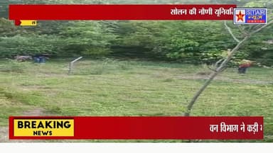 सोलन: नौणी यूनिवर्सिटी में 'जंगल के बादशाह' का हैरतअंगेज रेस्क्यू!#Solan #NauniUniversity #LeopardRescue #HimachalNews #...