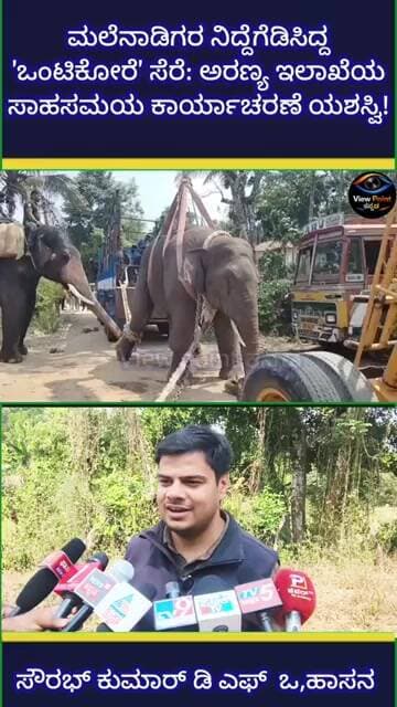 ಮಲೆನಾಡಿಗರ ನಿದ್ದೆಗೆಡಿಸಿದ್ದ 'ಒಂಟಿಕೋರೆ' ಸೆರೆ: ಅರಣ್ಯ ಇಲಾಖೆಯ ಸಾಹಸಮಯ ಕಾರ್ಯಾಚರಣೆ ಯಶಸ್ವಿ!