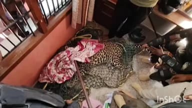 ಮೈಸೂರು: ಚಿರತೆಯಿಂದ ವೃದ್ಧೆ ಅತ್ತೆ ಪಾರು ಮಾಡಿದ ಸೊಸೆಗೆ ಕಿತ್ತೂರು ರಾಣಿ ಚೆನ್ನಮ್ಮ ಪ್ರಶಸ್ತಿ ನೀಡುವ ಭರವಸೆ: ಸಚಿವೆ ಲಕ್ಷ್ಮಿ ಹೆಬ್ಬಾಳ್ಕರ್