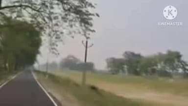 रानीगंज: चोरों ने 26 पोल के बिजली तार काटकर वार्ड 10 और 18 को अंधेरे में डूबो दिया, आक्रोशित लोगों ने किया प्रदर्शन