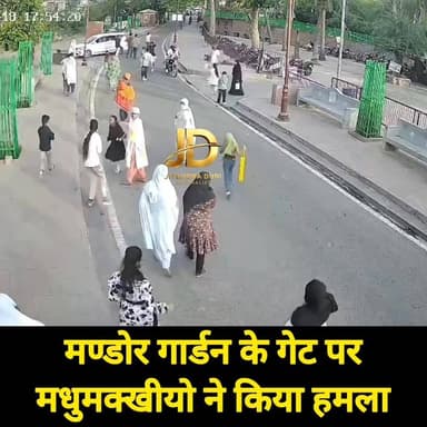 मंडोर गार्डन के मुख्य गेट पर मधुमक्खियों का हमला, मची अफरा-तफरी
#मंडोरगार्डन #मधुमक्खीहमला #जोधपुरन्यूज #BreakingNews #...