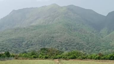 உத்தமபாளையம்: கூடலூர் பளியங்குடியில் கண்ணை கோவில் திருவிழாவிற்கான கொடியேற்றம் நிகழ்வு விமர்சியாக நடந்தது