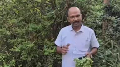 ରାୟଗଡା: ରାୟଗଡା ବରିଷ୍ଠ ସାମ୍ବାଦିକ ଔଷଧ ବୃକ୍ଷ ତାର ଉପକାରିତା ଉପରେ ଆଜି ଭୃଶୁଙ୍ଗପତ୍ର ଉପରେଆଲୋଚନା କରିଛନ୍ତି ରଶ୍ମି ରଞ୍ଜନ ଦୋରା ଆସନ୍ତୁ ଦେଖିବା