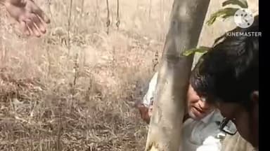 अमरवाड़ा: अमरवाड़ा: पिंडरई पेट्रोल पंप के पास सड़क हादसे में 3 युवक शिकार, 1 की मौत, 2 गंभीर