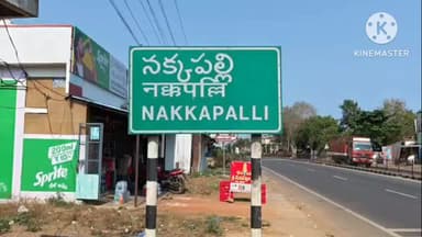 నక్కపల్లి వద్ద బస్సు బోల్తా… 12 మందికి గాయాలు