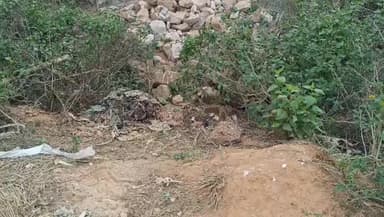 ଭରତପୁର ଜଙ୍ଗଲକୁ ଫେରିଲେ ଦନ୍ତା, ଗତ ୫ ଦିନ ଧରି ଶିଖର ଚଣ୍ଡି ପାହାଡରେ ପକାଉଥିଲେ ଡେରା