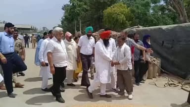 ਹੁਸ਼ਿਆਰਪੁਰ: ਅਨਾਜ ਮੰਡੀ ਟਾਂਡਾ ਪਹੁੰਚੇ ਕਟਾਰੂਚੱਕ, ਕਣਕ ਦੇ ਖਰੀਦ ਪ੍ਰਬੰਧ ਦਾ ਲਿਆ ਜਾਇਜਾ