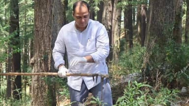 लोहाघाट: नगर लोहाघाट के डिग्री कॉलेज मार्ग में डीएम के नेतृत्व में वृहद स्वच्छता अभियान का संचालन किया गया