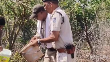 कुम्भराज: मृगवास में शॉर्ट सर्किट से बटावदा रोड पर भीषण आग, लोगों और पुलिस ने मिलकर पाया काबू