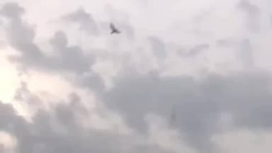 साकेत: सरस्वती विहार: साउथ दिल्ली में गर्मी से बढ़ी लोगों की परेशानी