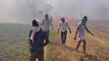 चंदौली: कंजेहरा में खूंटी सहित गेहूं और भूसे में लगी आग, पूर्व विधायक मनोज सिंह डब्लू व किसानों ने भागकर बचाई जान, वीडियो वायरल