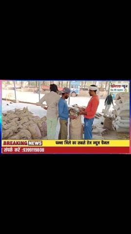 कचनारा समिति गुनौर मंडी में खरीदी शुरू, ग्रेडिंग के बाद ली जा रही किसानों की फसल