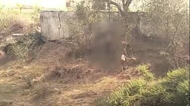 गोहरगंज: ओबेदुल्लागंज: चांदनी पुलिया के पास पेड़ पर लटका मिला युवक का शव, क्षेत्र में सनसनी