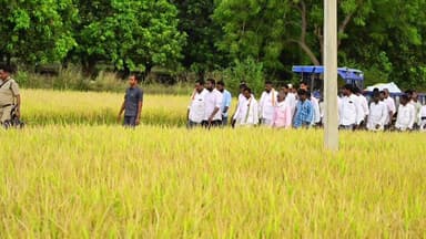 మల్యాల: బాధిత కుటుంబానికి అండగా నిలుస్తాం..
ప్రమాద స్థలాన్ని సందర్శించిన మంత్రి అడ్లూరి లక్ష్మణ్ కుమార్
