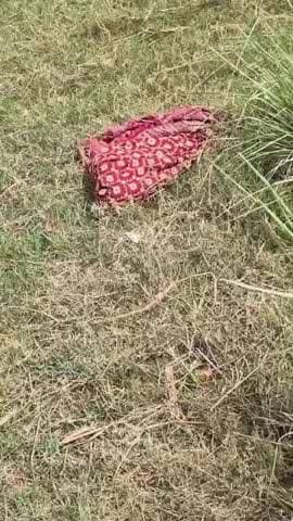 इटवा: इटवा कस्बे के ITI नहर क्षेत्र में कपड़े में लिपटा ज़िंदा नवजात मिला, पुलिस ने उसे CHC में कराया भर्ती