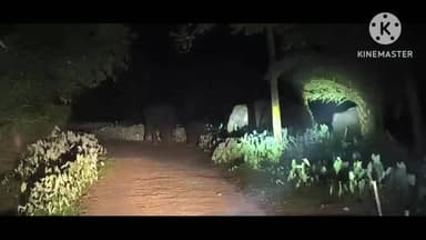 ମୋରଡା: ବଡାମପୁର ଜଙ୍ଗଲରୁ ବାହାରି ଖାଦ୍ୟ ଅନ୍ୱେଷଣରେ ଜନବସତି ମୁହାଁ ଅଗ୍ରସର ହେଲେ ୩୮ଟିକିଆ ବିଶାଳ ବଣୁଆ ହାତୀପଲ, ସତର୍କ ସୂଚନା ଜାରିକଲା ବନବିଭାଗ