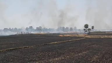 अतरी: अतरी में भीषण आग, गेहूँ की फसल जलकर राख, किसानों को भारी नुकसान