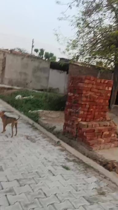 माननीय मुख्यमंत्री योगी आदित्यनाथ जी से निवेदनहै हमारे घर में घुस कर हम लोगों को मारा है देख लो सर आपकी सरकार में 🙏🙏