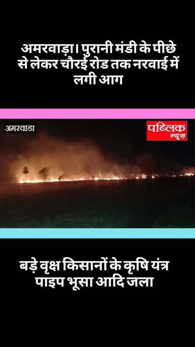 अमरवाड़ा के चौरई रोडमें लगभग सैकड़ो एकड़ में जली नरवाई,