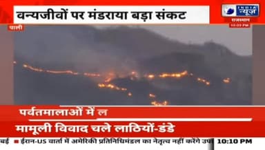 ब्रेकिंग: कुंभलगढ़ की पहाड़ियों में भीषण आग बेकाबू, तीन नाल में फैली लपटें रिपोर्ट प्रहलादसिंह इंडिया न्यूज