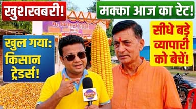 📢 खुशखबरी! पूर्णिया के किसानों के लिए मक्का बेचने का सबसे भरोसेमंद ठिकाना! ✅
#MakkaRate #आज_मक्का_भाव #MaizepriceBihar2...