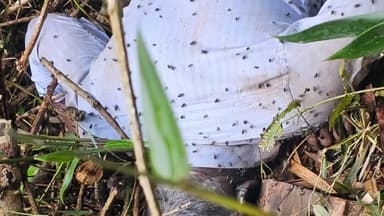 ಮಡಿಕೇರಿ: ದರ್ಗಾ ಪ್ರವಾಸಕ್ಕೆ ಬಂದು ನಾಪತ್ತೆಯಾಗಿದ್ದ ವ್ಯಕ್ತಿ, ಎಮ್ಮೆಮಾಡು ಬಳಿಯ ಕಾವೇರಿ ನದಿ ದಡದಲ್ಲಿ ಮೃತಪಟ್ಟ ಸ್ಥಿತಿಯಲ್ಲಿ ಪತ್ತೆ