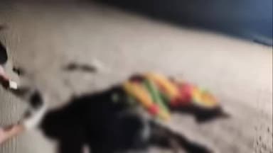 बीकानेर: उदयरामसर-पालना मार्ग पर भीषण सड़क हादसे में तीन लोगों की मौत, एक बच्चा गंभीर घायल