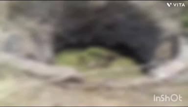 बांसवाड़ा: बोरी पी गांव में शादी में गए MBBS डॉक्टर की संदिग्ध मौत, कुएं में अर्धनग्न शव मिला, शव का पोस्टमार्टम कर सौंपा गया