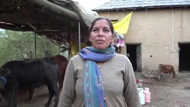 बिलासपुर सदर: प्रदेश में दूध के न्यूनतम समर्थन मूल्य से ग्रामीण अर्थव्यवस्था मजबूत हो रही है