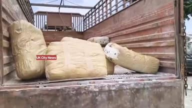 #रुद्रपुर।#पुलिस नें 550 #किलो से ज़्यादा #गांजा_पकड़ा।
ऊधम सिंह नगर पुलिस को नशे के एक बड़ी खेप हाथ लगी है । पुलिस ने 5...