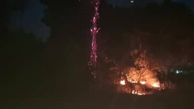 रुदौली: मुजफ्फरपुर गांव में भीषण आग, जंगल धू-धू कर जल गया