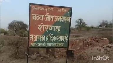 अटरू: शेरगढ़ में चीता केपी 3 ने 2 खरगोशों का किया शिकार, नदी किनारे कर रहा है विचरण