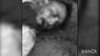 વિસનગર: ભાંડૂ હાઈવે ટ્રક અડફેટે રાહદારીનું મોત