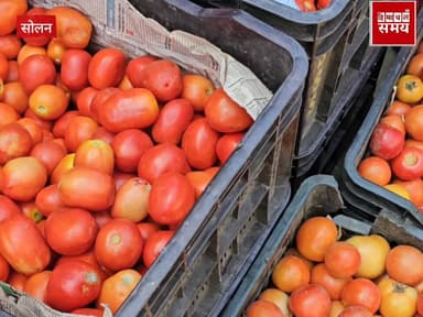 20 अप्रैल को हिमाचल की सोलन सब्जी मंडी में भाव
हिमाचल समय - Himachal Samay Media #solanablockchain #educationalcontent #...