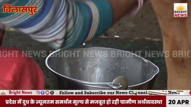 -#बिलासपुर --दूध के MSP से खिले पशुपालकों के चेहरे,प्रदेश में मजबूत हो रही ग्रामीण अर्थव्यवस्था ...
#BrightNews #Bright...