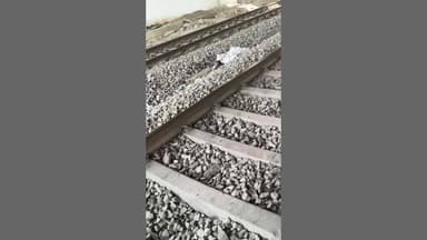 टेढ़ी बाजार रेलवे ट्रैक किनारे सुरक्षा दीवार न होने से हादसा, पेश इमाम हाफिज मेराज ट्रेन से कटकर हुए मौत