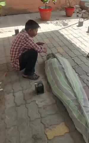 घाटमपुर: पति को बाहर जाने से मना किया, नहीं माना तो पत्नी ने पी ली डाई, उपचार के दौरान हैलेट अस्पताल में हुई मौत