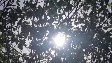 जबलपुर: मध्य प्रदेश में हीटवेव का हाई अलर्ट, प्रदेश के 16 जिलों में लू की चेतावनी